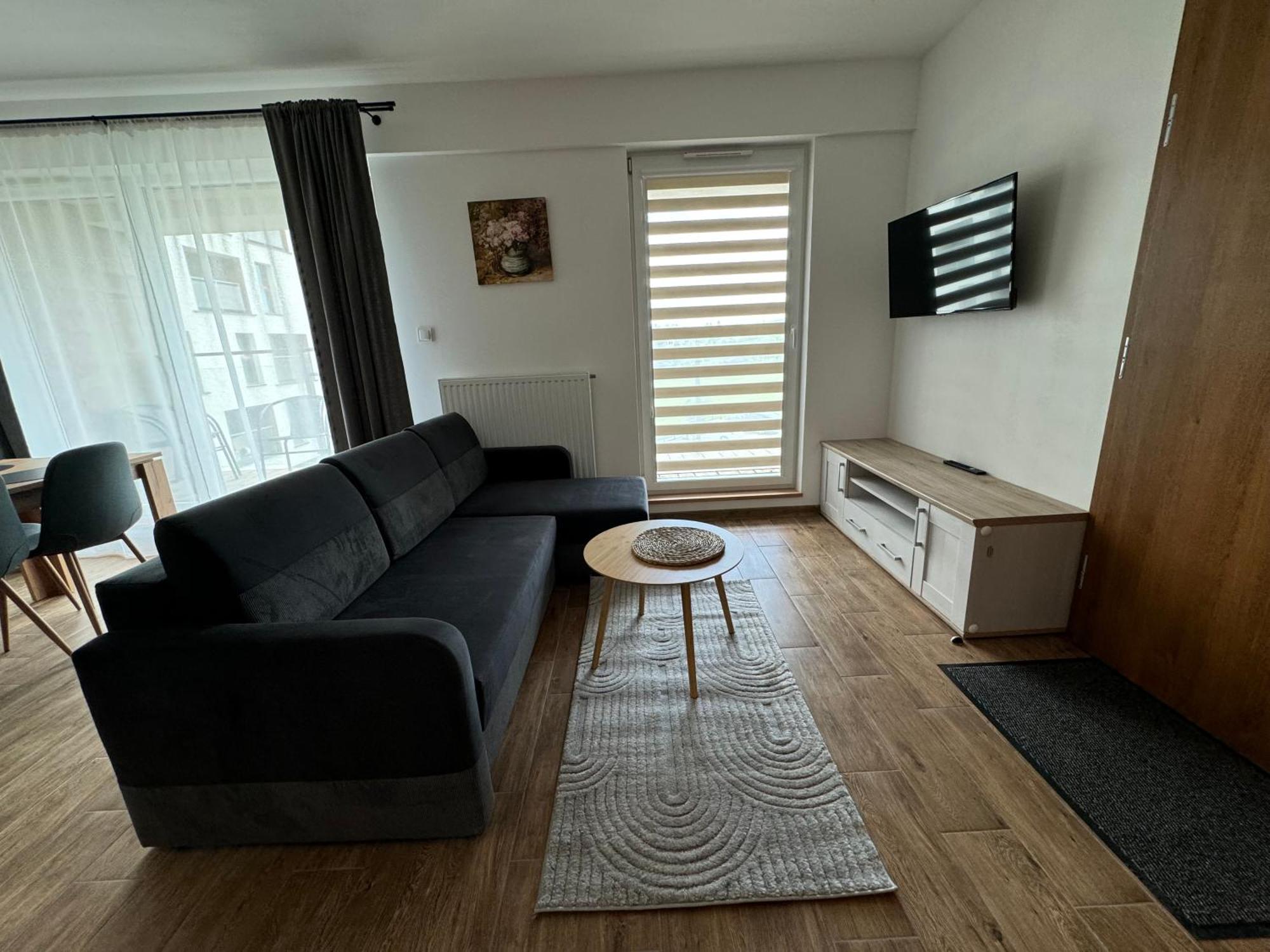 Apartment Vip Wieniawskiego *